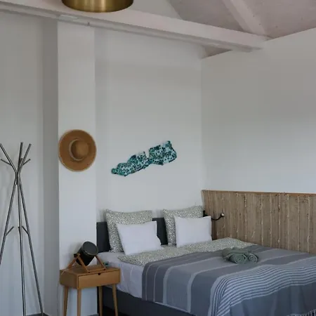 1ha Vendeghaz Tagyon